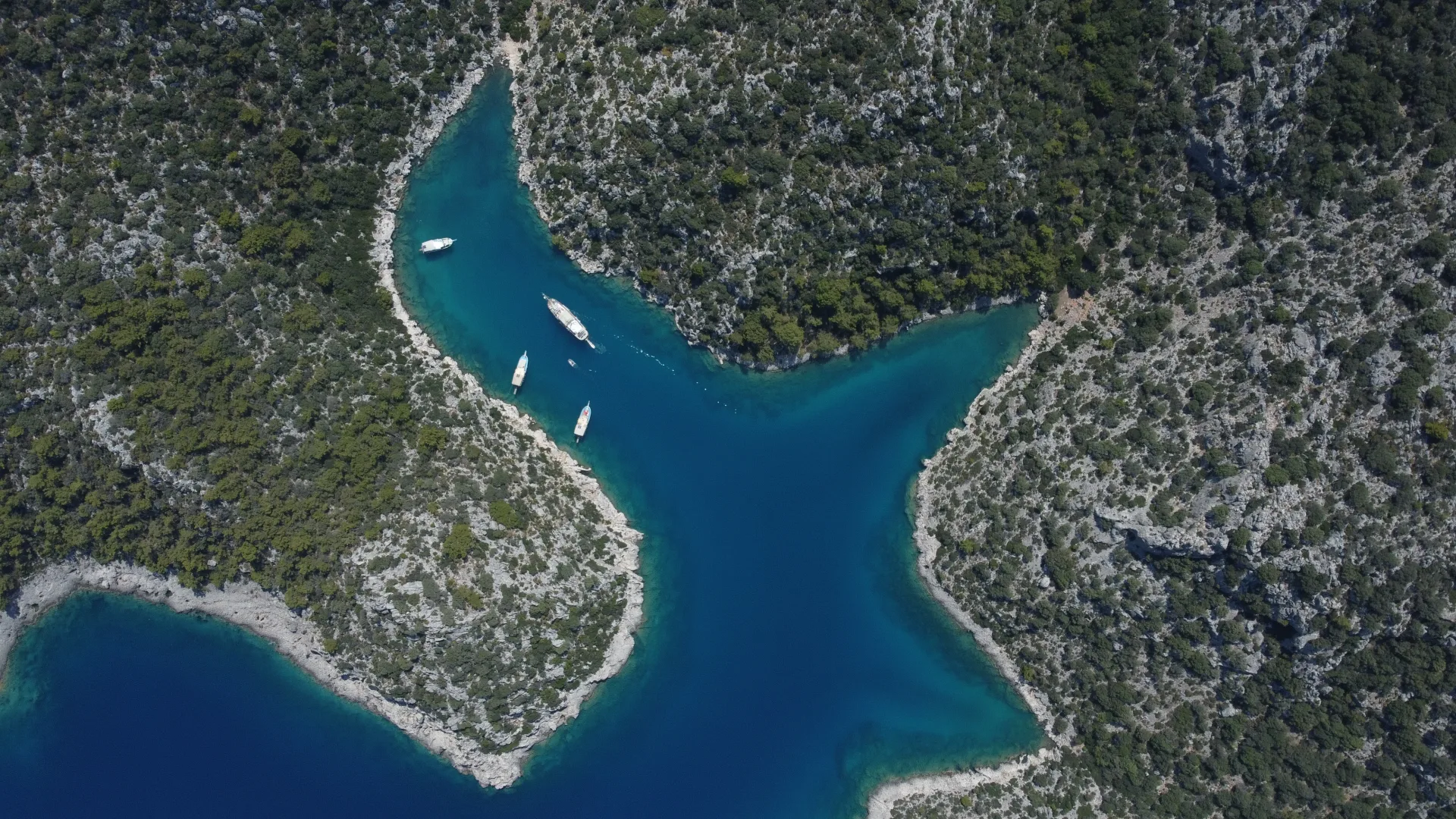 Karaloz